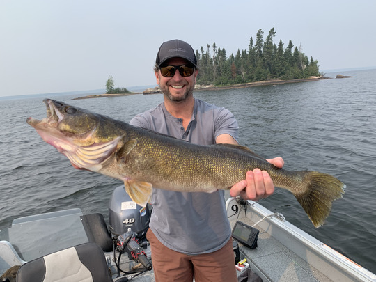 Walleye