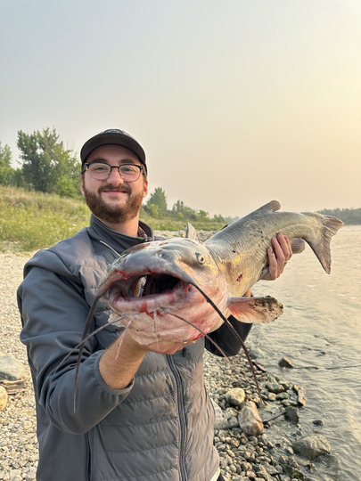 Channel Catfish