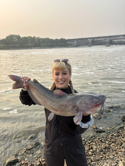 Channel Catfish