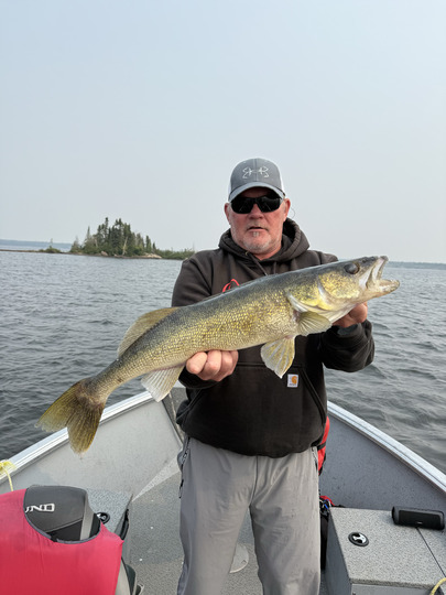 Walleye