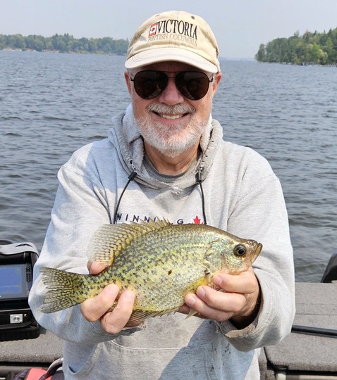 Black Crappie