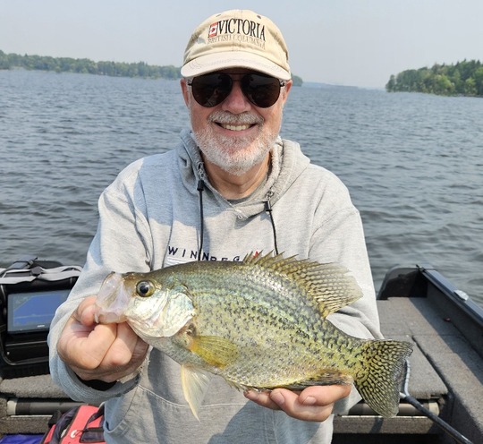 Black Crappie