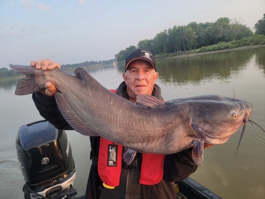 Channel Catfish