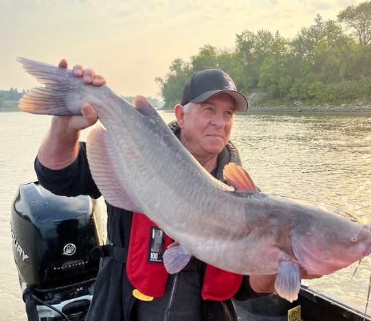 Channel Catfish