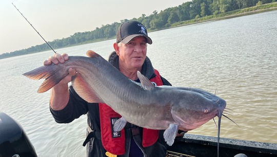 Channel Catfish