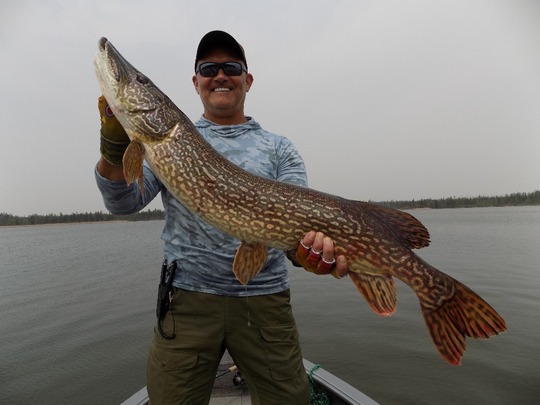 Northern Pike