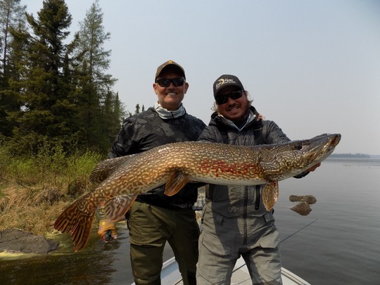 Northern Pike