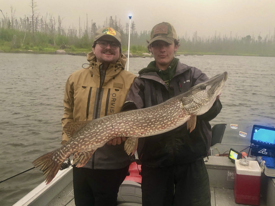 Northern Pike