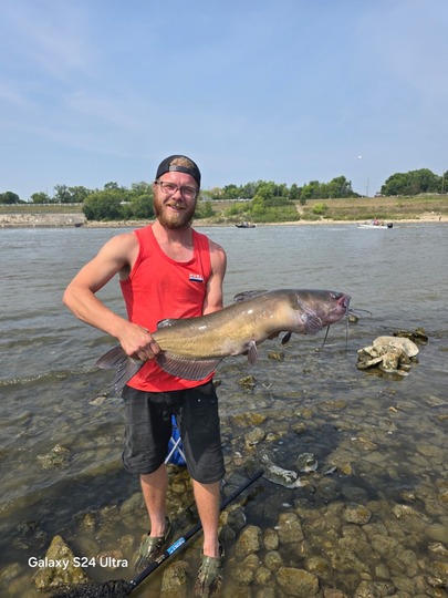 Channel Catfish