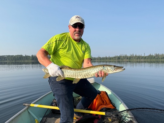 Muskellunge