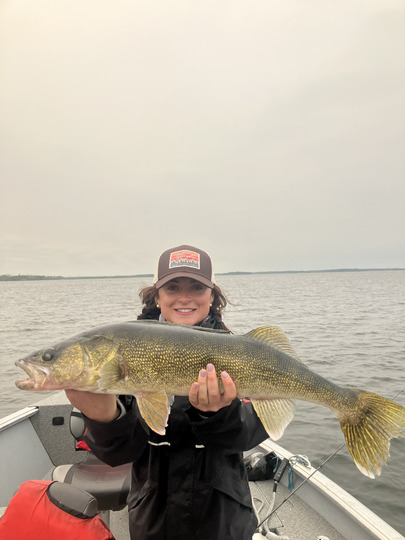 Walleye