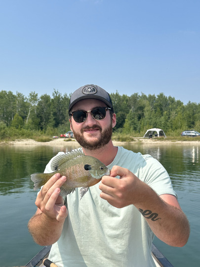 Sunfish