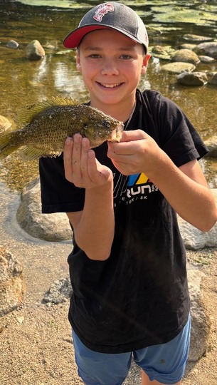 Rock Bass