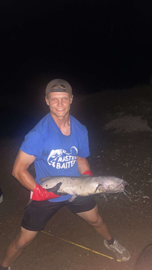 Channel Catfish