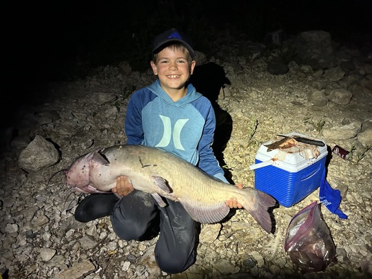 Channel Catfish