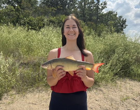 Sucker