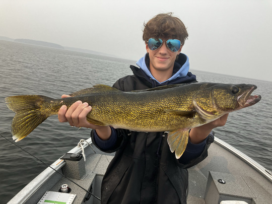 Walleye
