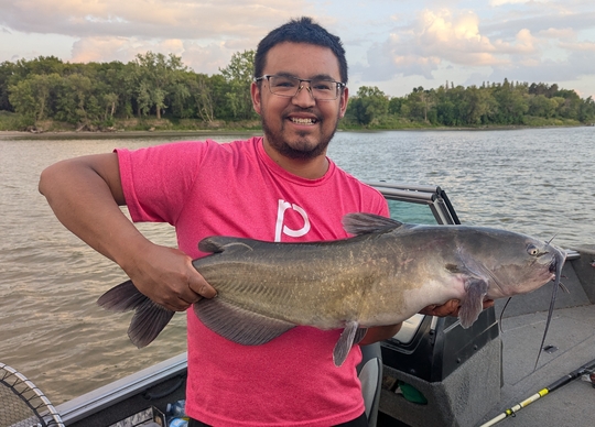 Channel Catfish