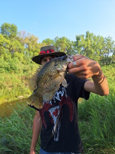 Rock Bass