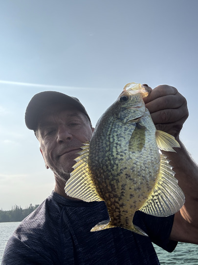 Black Crappie