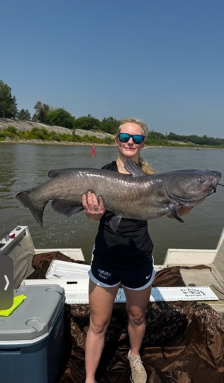 Channel Catfish