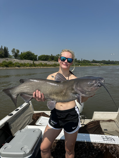 Channel Catfish