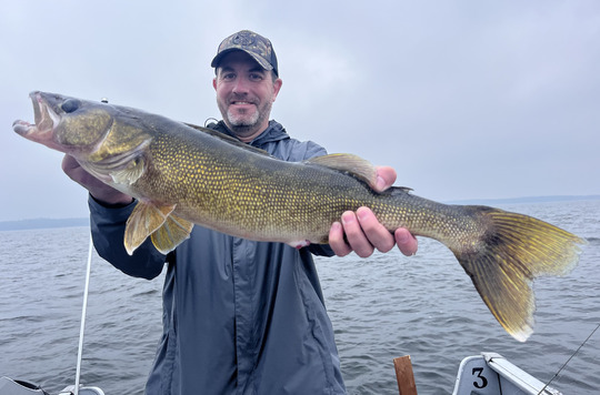 Walleye