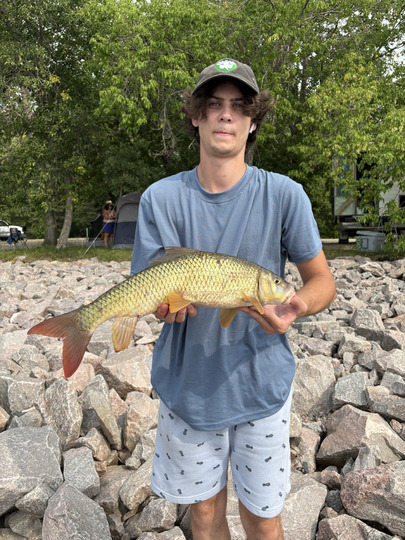 Sucker