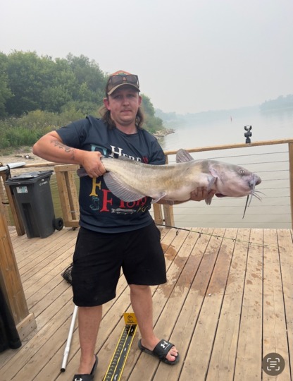 Channel Catfish