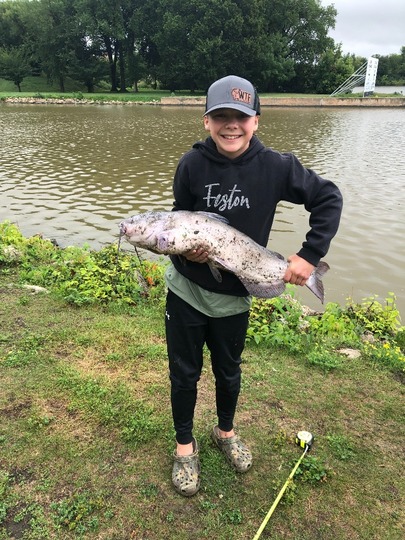 Channel Catfish