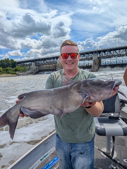Channel Catfish