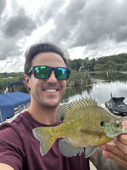 Sunfish