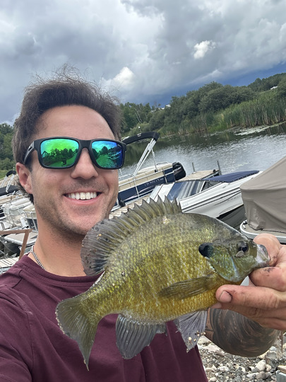 Sunfish