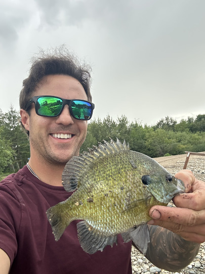 Sunfish