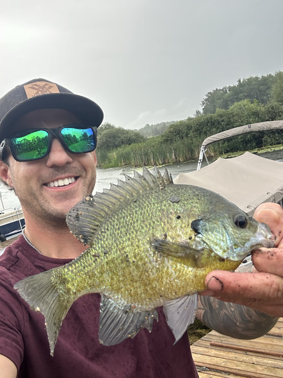 Sunfish