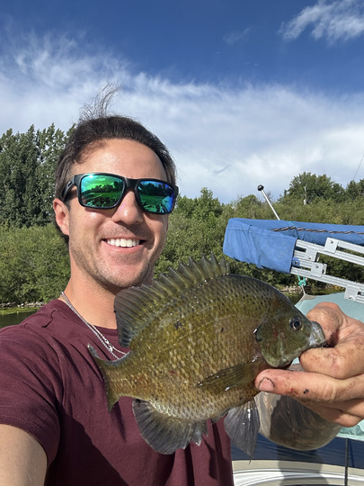 Sunfish