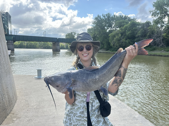 Channel Catfish