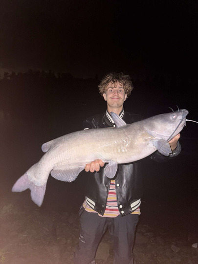 Channel Catfish