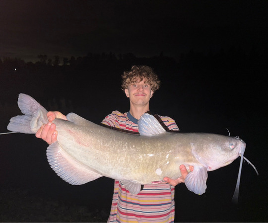 Channel Catfish