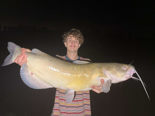 Channel Catfish