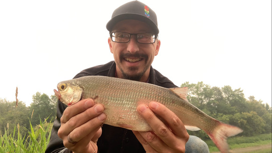 Goldeye