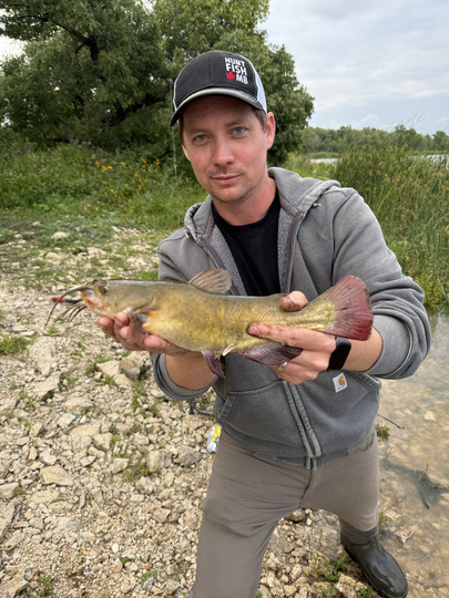 Bullhead