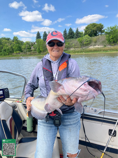 Channel Catfish