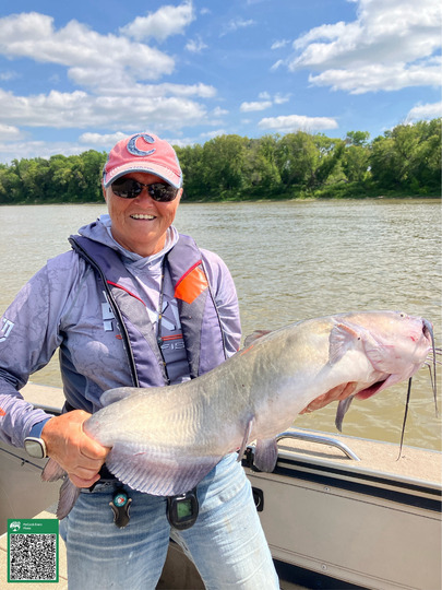 Channel Catfish