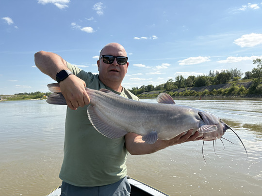Channel Catfish
