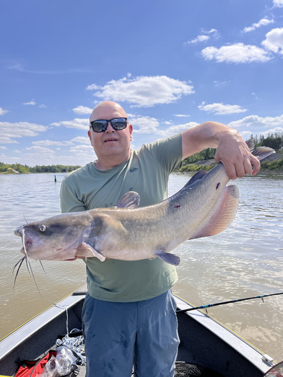 Channel Catfish