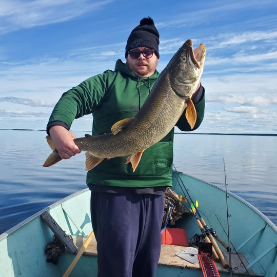 Lake Trout