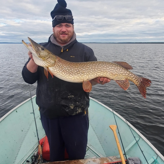 Northern Pike