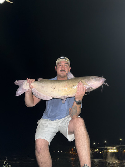 Channel Catfish