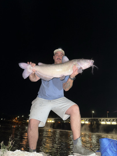 Channel Catfish